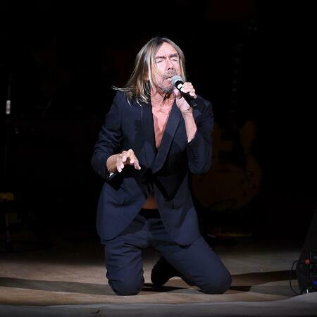 flyde missil skade Iggy Pop Concert Tickets, 2023 Tour Dates & Locations | SeatGeek