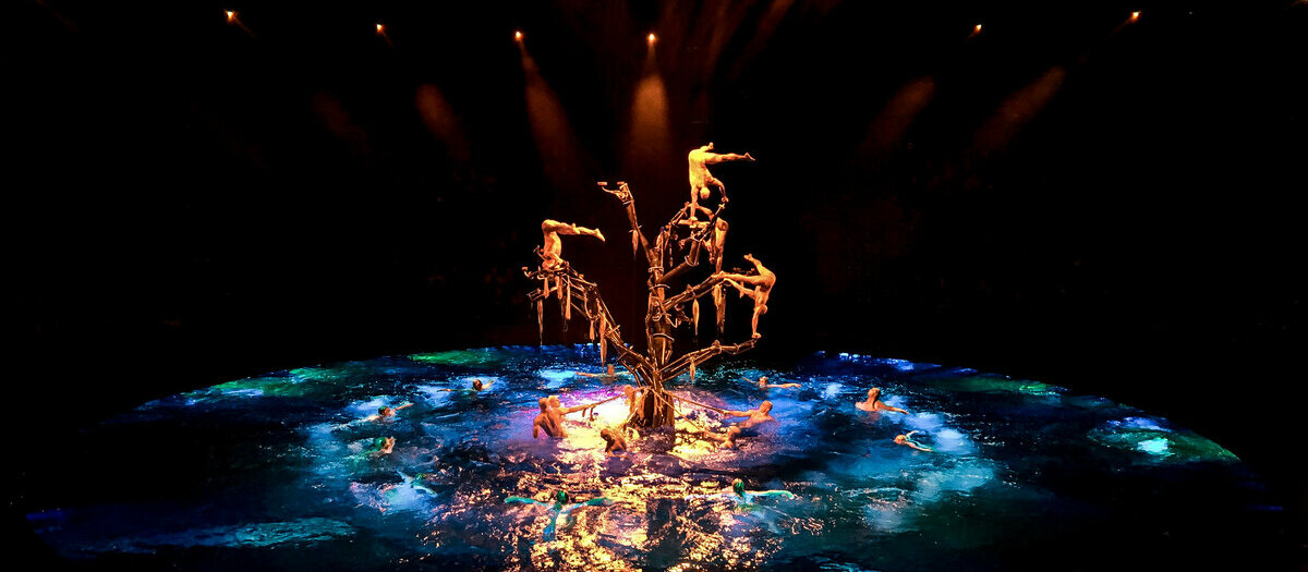 Le Reve Tickets