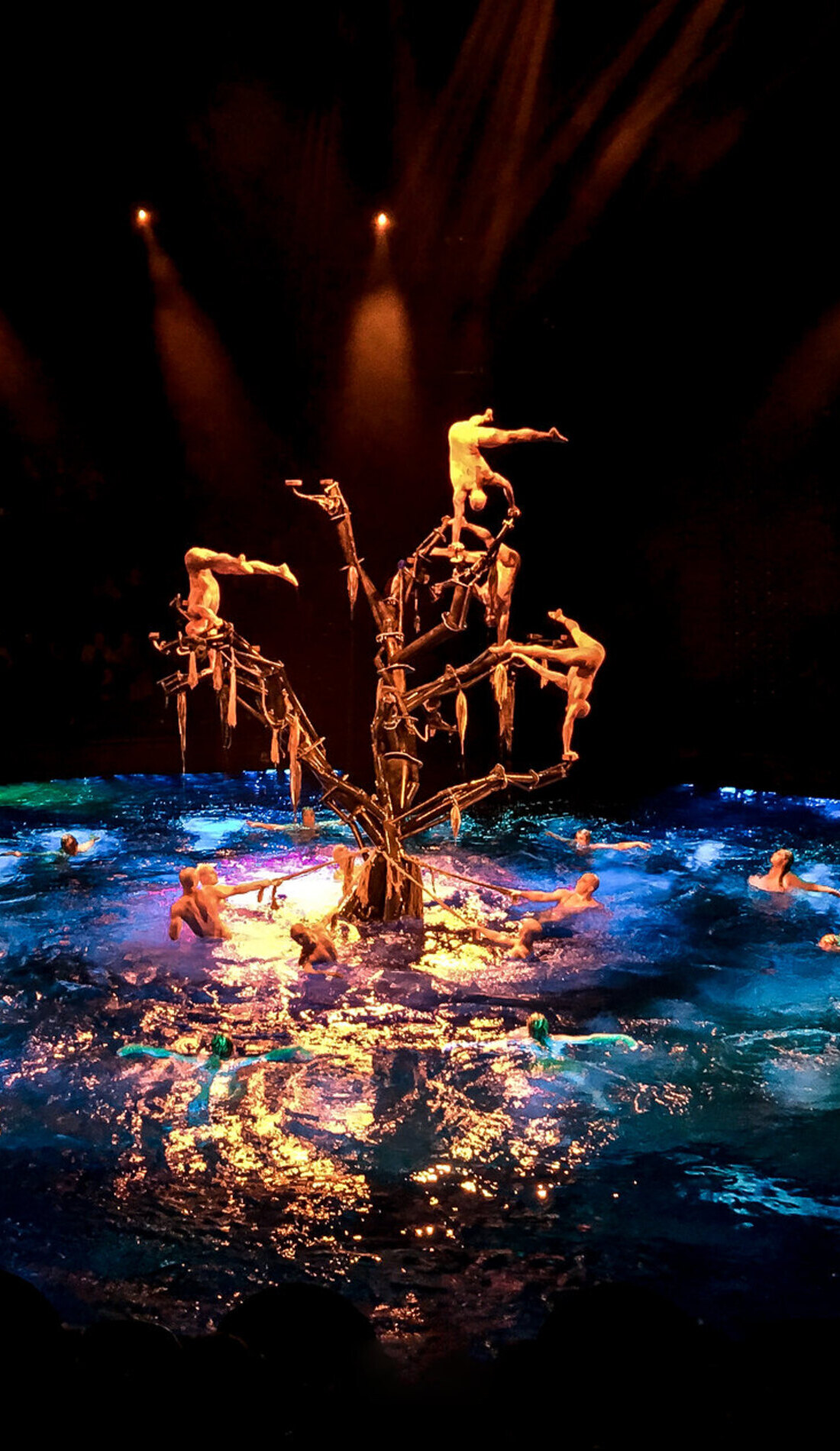 A Le Reve live event