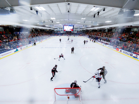 Delaware Blue Hens at Liberty Flames Mens Hockey