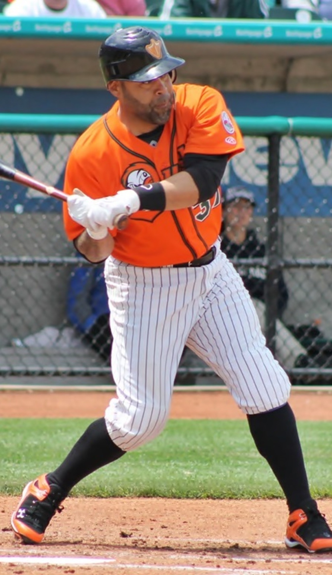 A Long Island Ducks live event