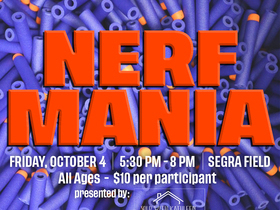 Nerf Mania