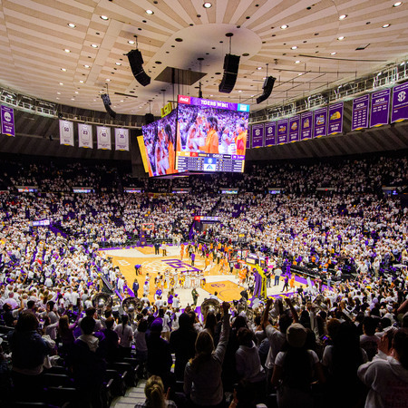 ProSphere Purple LSU Tigers 2023 NCAA Women's Basketball National