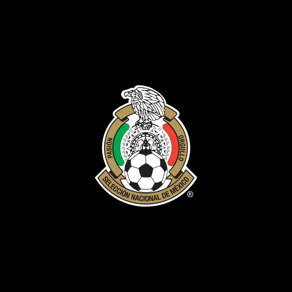 Mexico National Soccer Team