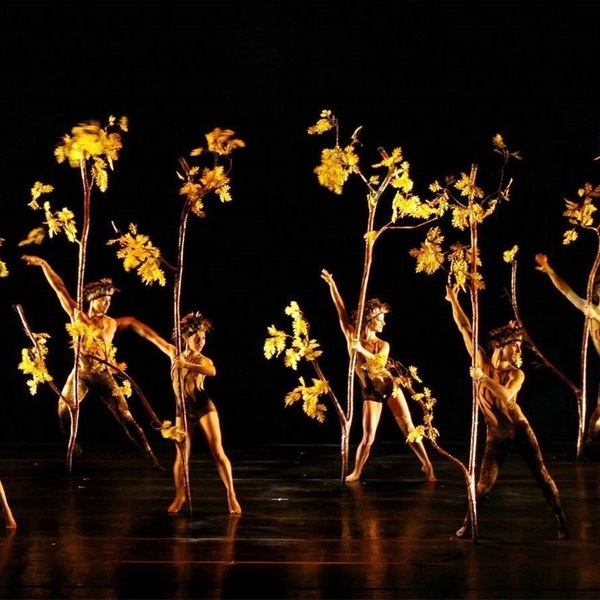 Momix Tickets Avon (Vilar Performing Arts Center) Jan 29, 2024 at 12