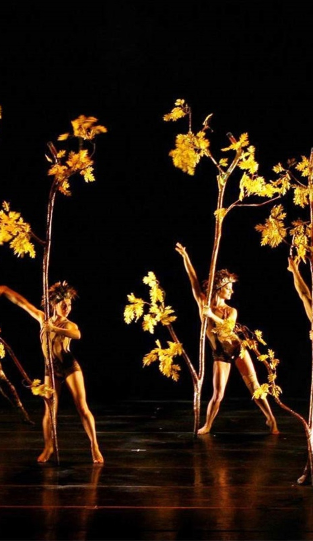 Momix Tickets SeatGeek