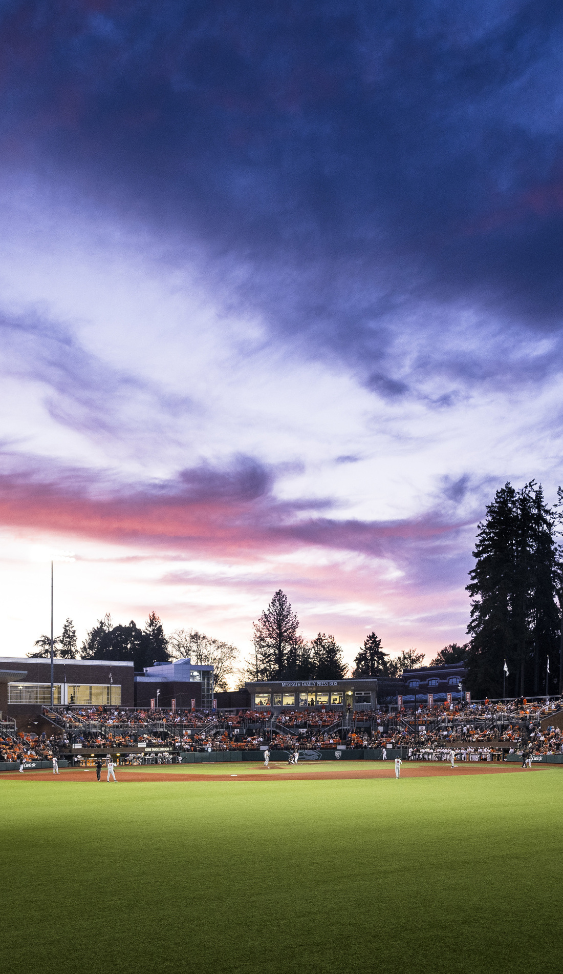 A Oregon State Beavers Baseball live event
