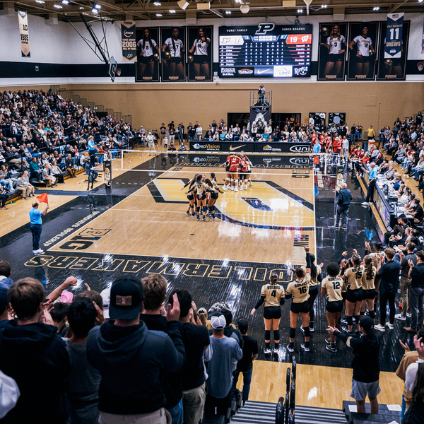 Purdue Boilermakers Womens Volleyball