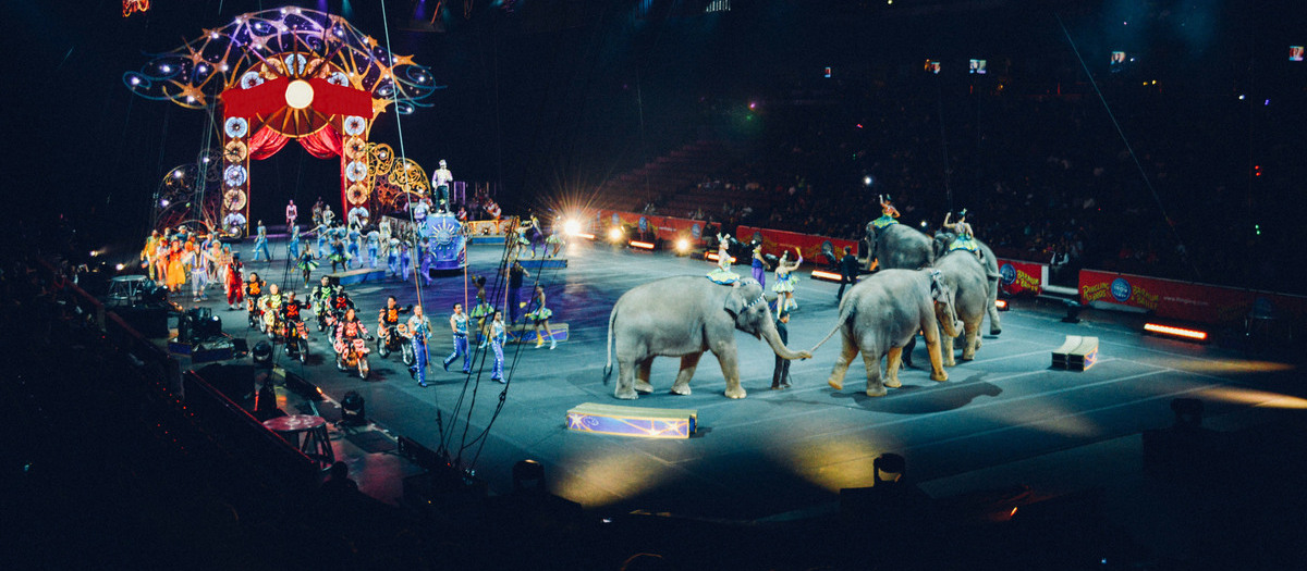 Ringling Bros and Barnum and Bailey Circus Out of this World Baltimore Tickets