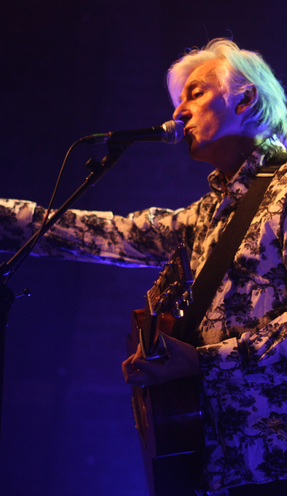 A Robyn Hitchcock live event