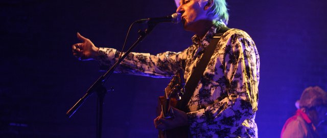 Image for Robyn Hitchcock