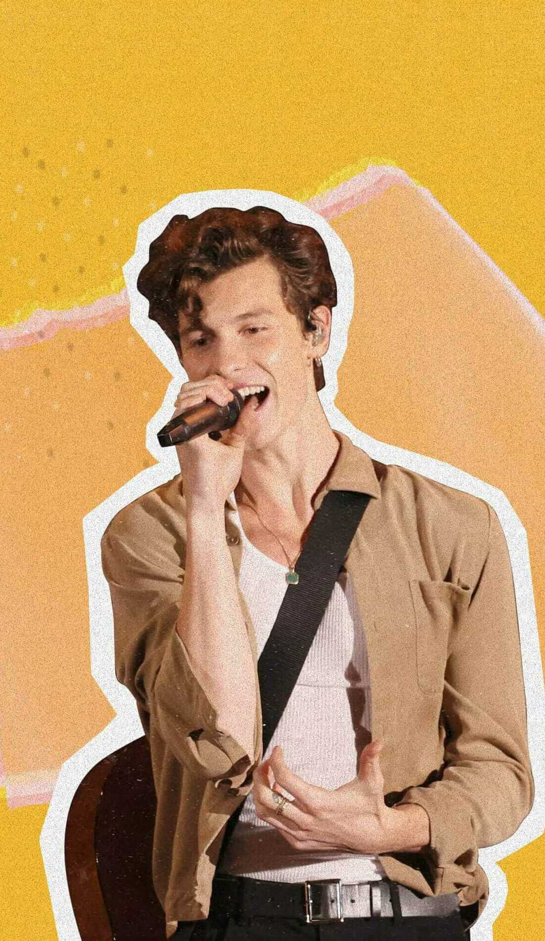 Shawn Mendes Concert Tickets and Tour Dates SeatGeek