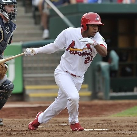 Hammons Field Springfield Cardinals Stadium Journey