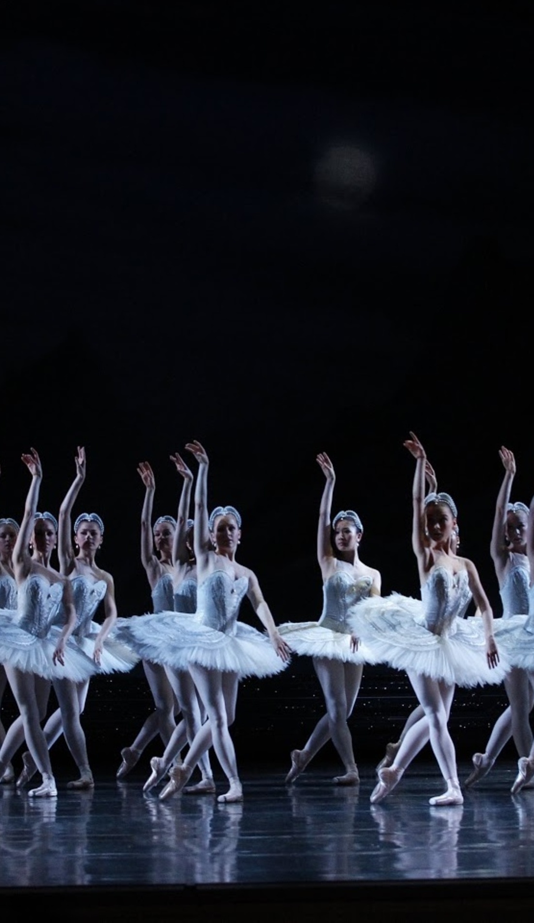 A Swan Lake live event