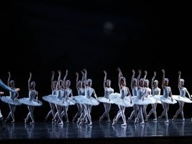 Swan Lake - Toronto Tickets