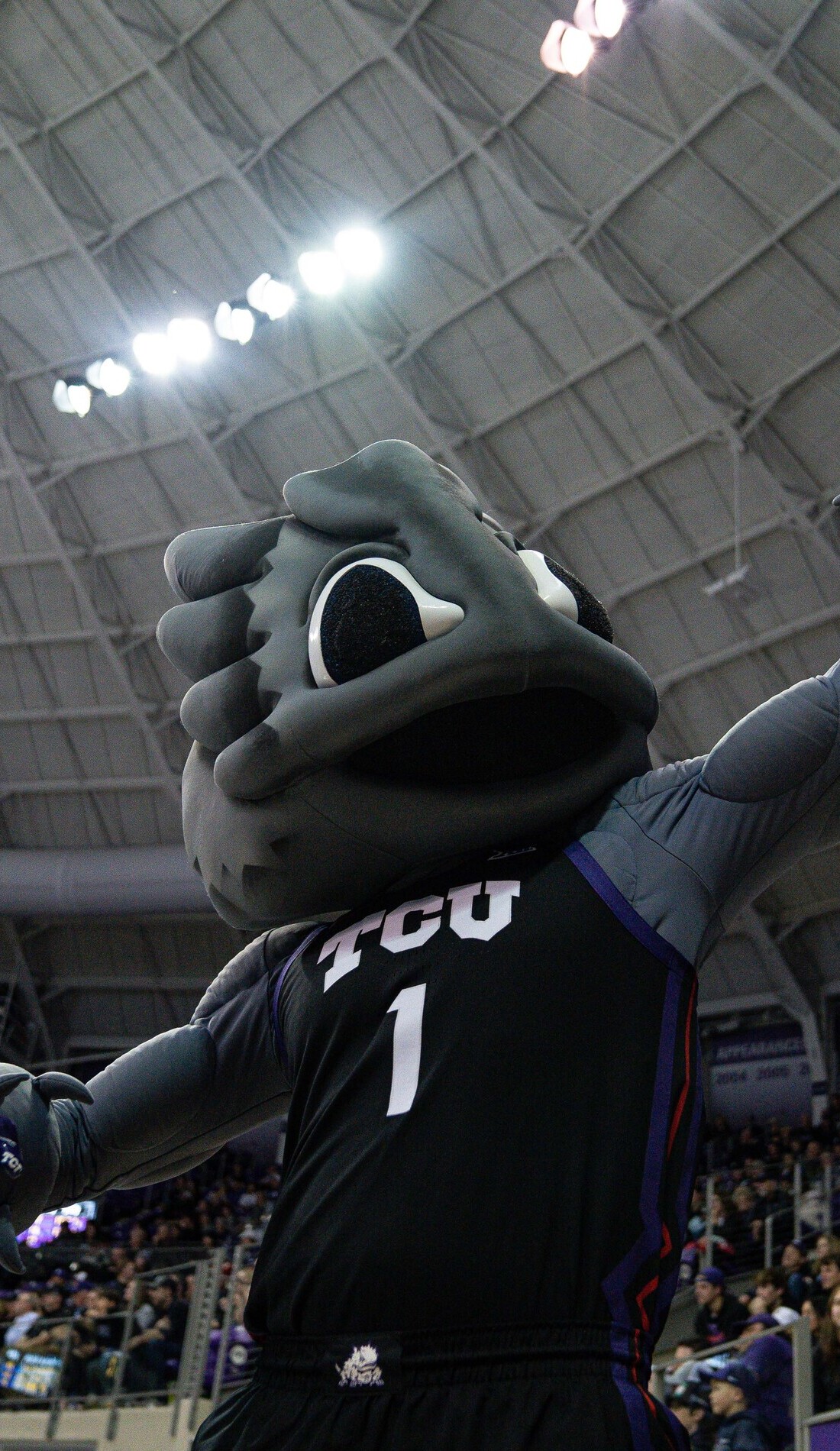 A TCU Horned Frogs Basketball live event