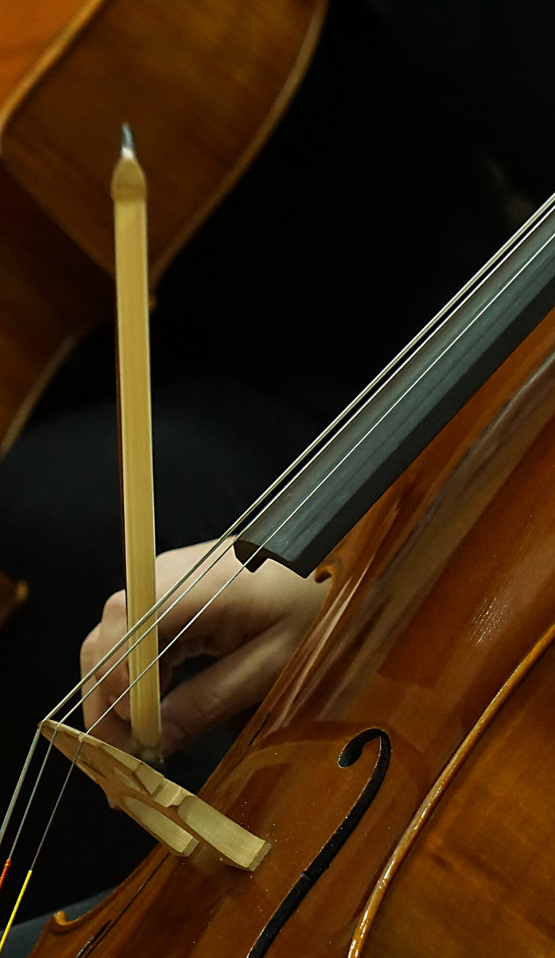 A Tucson Symphony Orchestra live event