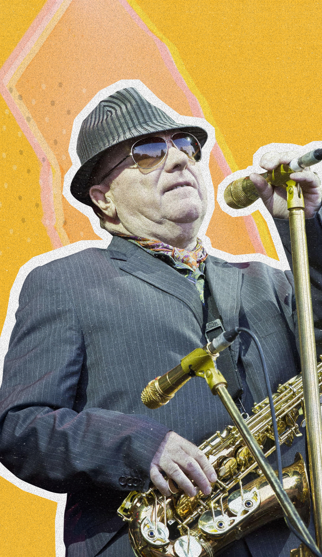 Van Morrison San Diego 2024 Livy Sherye