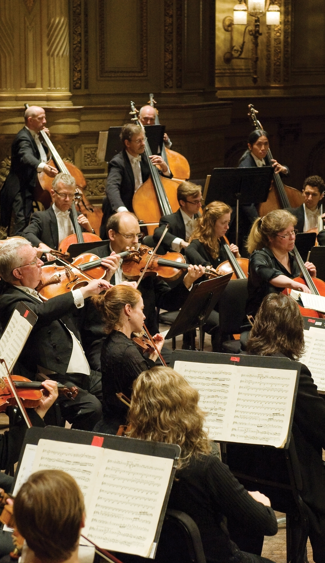 Vancouver Symphony Orchestra Tickets 2022 Vancouver Symphony