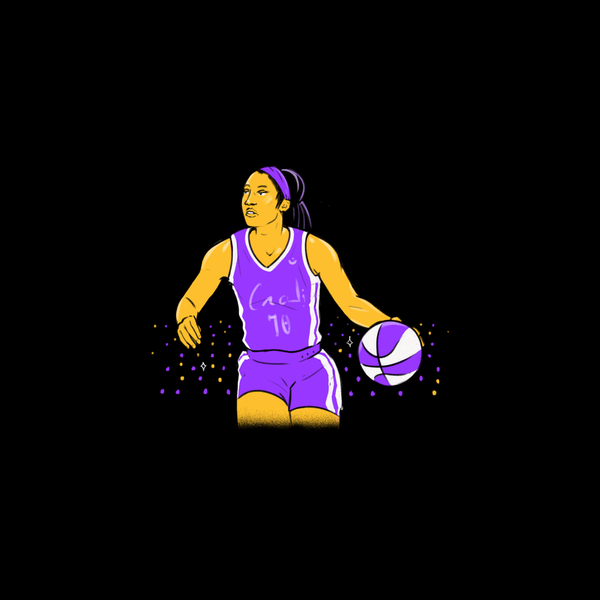 Villanova Wildcats Womens Basketball