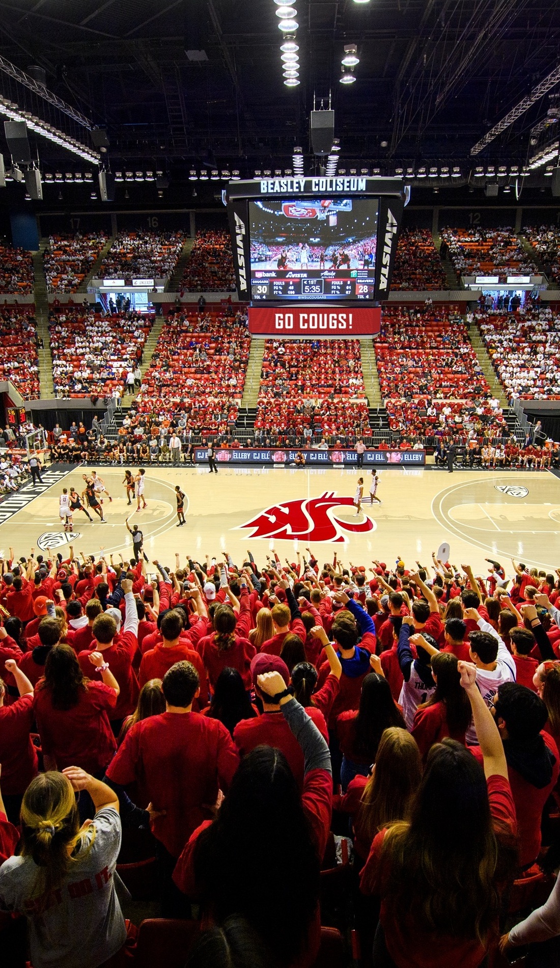 A Washington State Cougars Basketball live event