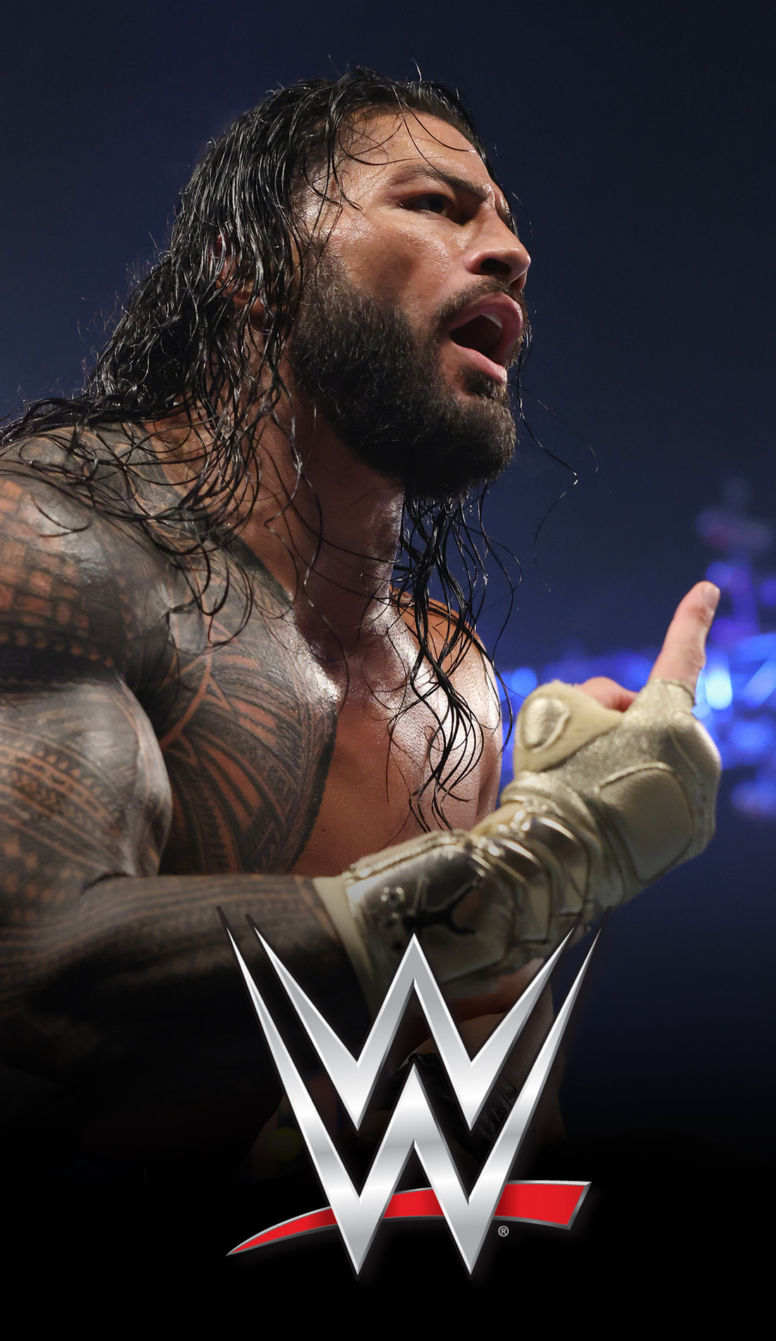 A WWE live event